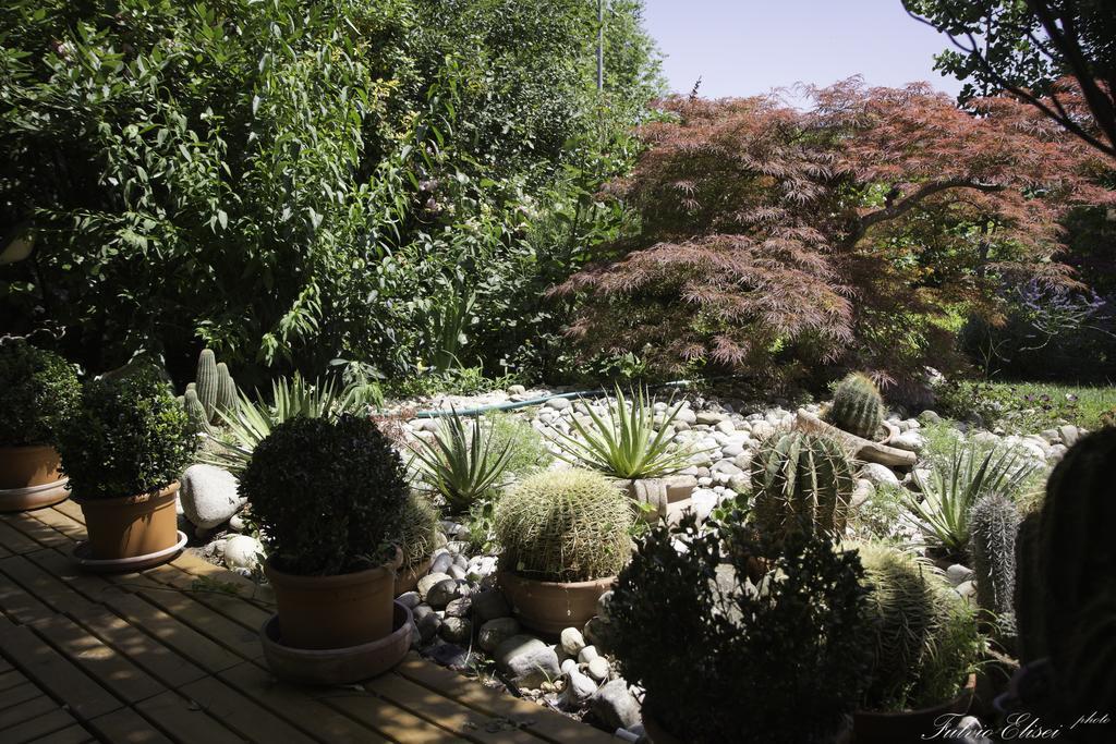 Teapot House Bed & Breakfast Perugia Bagian luar foto